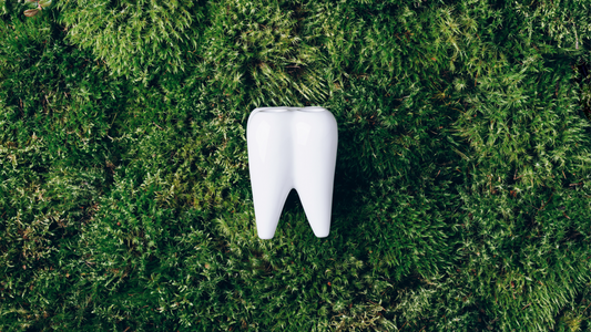 What is Holistic Oral Care?