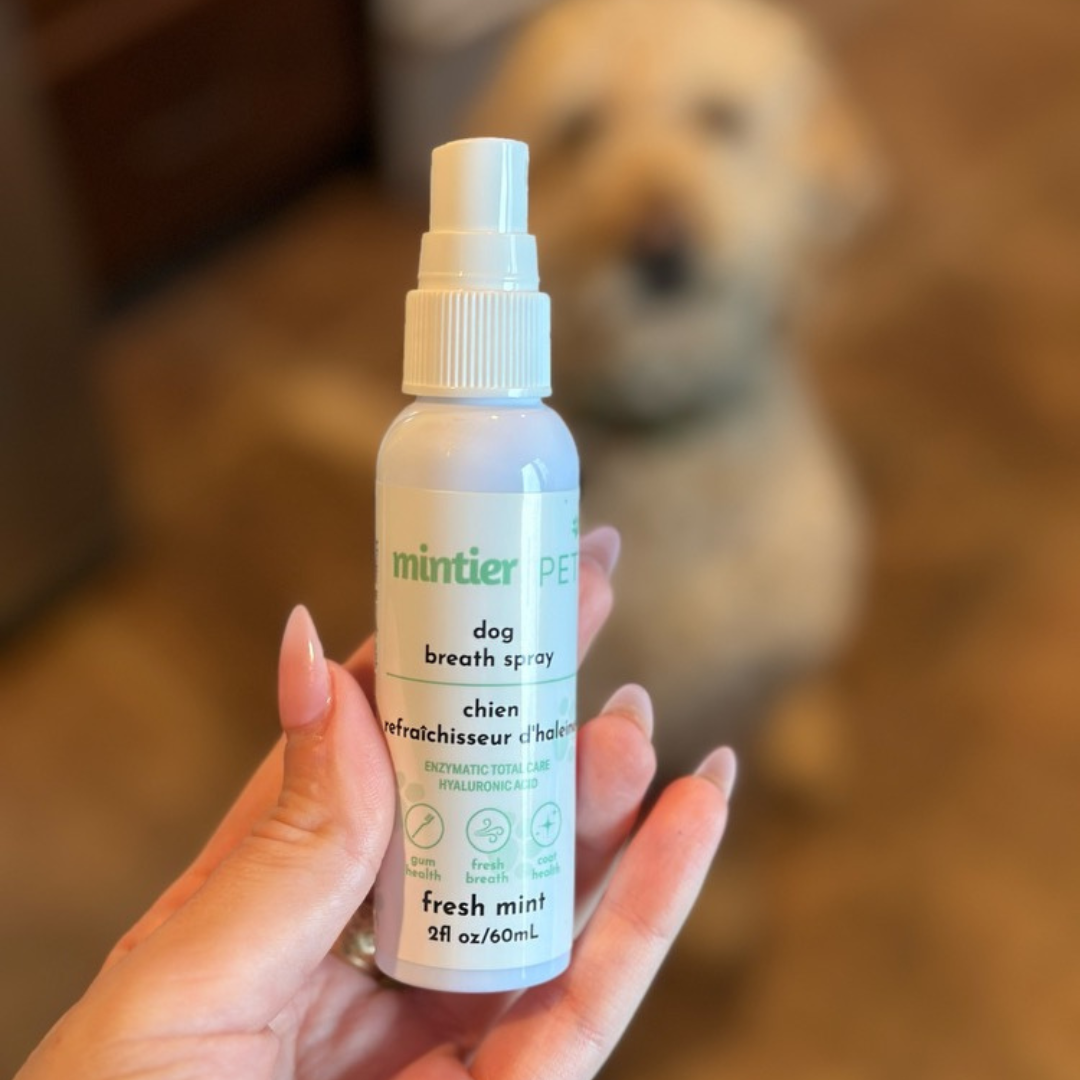 Dog Breath Spray