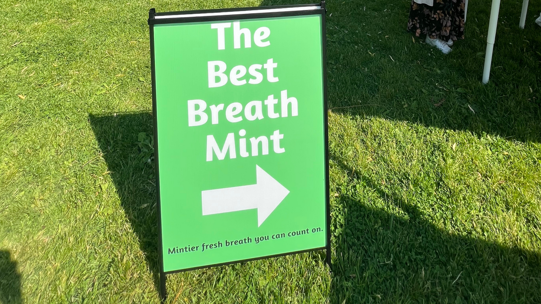 Freshening Up at The Toronto Flea Market: A Breath of Mintier Air