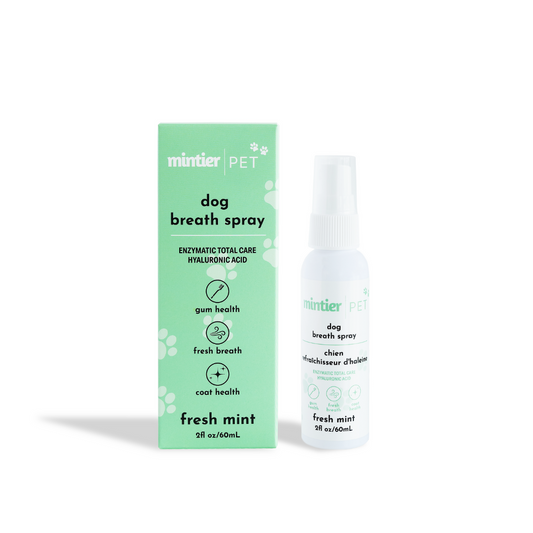 Dog Breath Spray